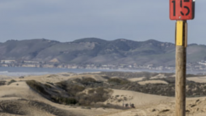 A vibrant dog park bathed in sunlight features abundant greenery with mature trees, offering ample shade for leisurely outdoor activities. In the distance is a well-equipped playground that presents an additional activity area. An inviting picnic table spreads out nearby, ideal for enjoying meals al fresco or taking relaxing breaks from play. A neatly-placed trash bin aids in maintaining the park's cleanliness for everyone's enjoyment. Dominating the scene is a generously wide dirt path gracefully curving through the expanse of grass, promising exploratory walks and lively fetch games.